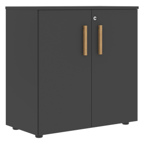 Низкий шкаф с малыми дверцами широкий FORTA Черный Графит FLC_80.1_Z__grafit.png FLC 80.1(Z) (798х404х801) в Казани